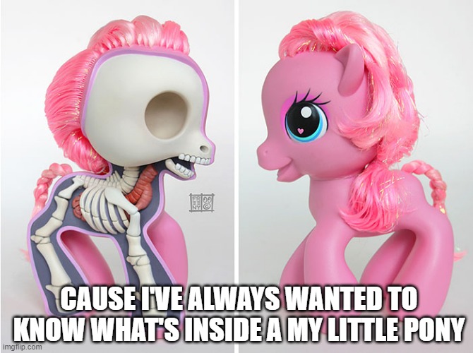 X-Ray | CAUSE I'VE ALWAYS WANTED TO KNOW WHAT'S INSIDE A MY LITTLE PONY | image tagged in strange toy | made w/ Imgflip meme maker