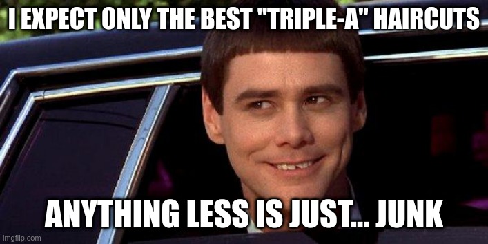 dumb and dumber | I EXPECT ONLY THE BEST "TRIPLE-A" HAIRCUTS; ANYTHING LESS IS JUST... JUNK | image tagged in dumb and dumber | made w/ Imgflip meme maker
