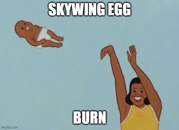 Yeet baby | SKYWING EGG; BURN | image tagged in yeet baby | made w/ Imgflip meme maker