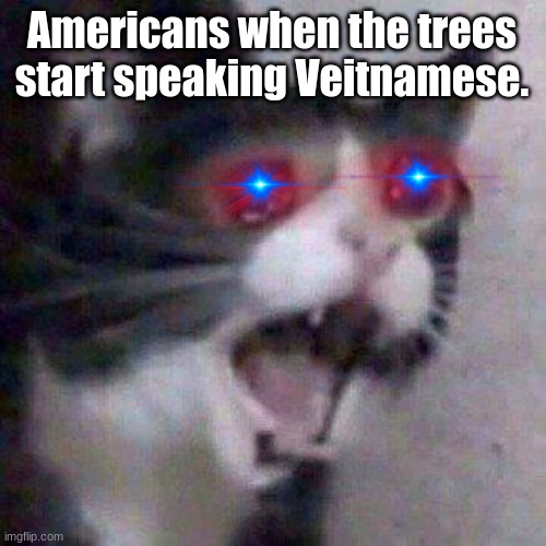 Cat Screaming | Americans when the trees start speaking Veitnamese. | image tagged in cat screaming | made w/ Imgflip meme maker