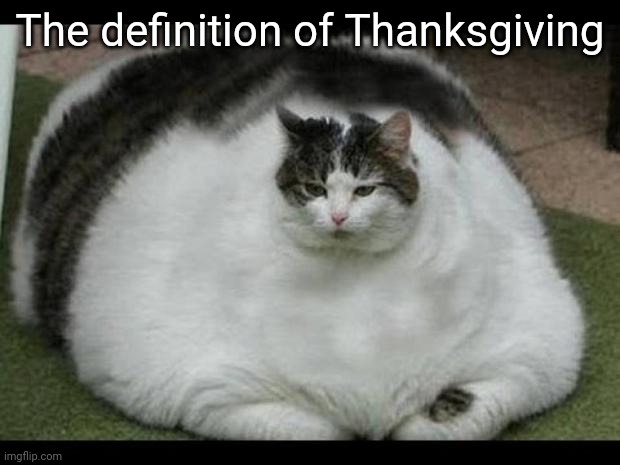 I won't eat too much.. | The definition of Thanksgiving | image tagged in fat cat 2 | made w/ Imgflip meme maker