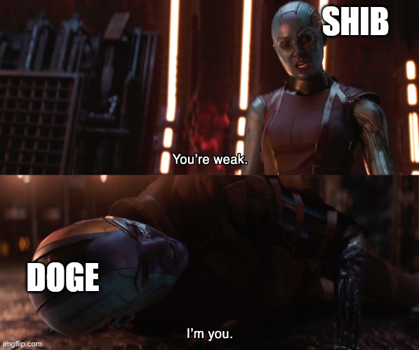 shib vs doge |  SHIB; DOGE | image tagged in nebula you're weak i'm you | made w/ Imgflip meme maker