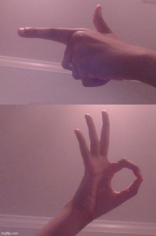 the funni hand gesture | image tagged in why does my index finger look broken | made w/ Imgflip meme maker