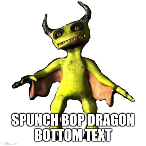 The Waiter | SPUNCH BOP DRAGON
BOTTOM TEXT | image tagged in the waiter | made w/ Imgflip meme maker