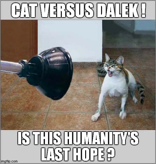 Please Stop Teasing This Cat ! | CAT VERSUS DALEK ! IS THIS HUMANITY'S
LAST HOPE ? | image tagged in cats,teasing,dalek,plunger | made w/ Imgflip meme maker