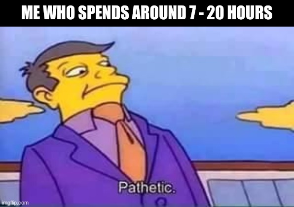 skinner pathetic | ME WHO SPENDS AROUND 7 - 20 HOURS | image tagged in skinner pathetic | made w/ Imgflip meme maker