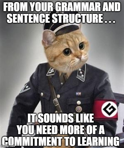 Grammar Nazi Cat | FROM YOUR GRAMMAR AND SENTENCE STRUCTURE . . . IT SOUNDS LIKE YOU NEED MORE OF A COMMITMENT TO LEARNING | image tagged in grammar nazi cat | made w/ Imgflip meme maker