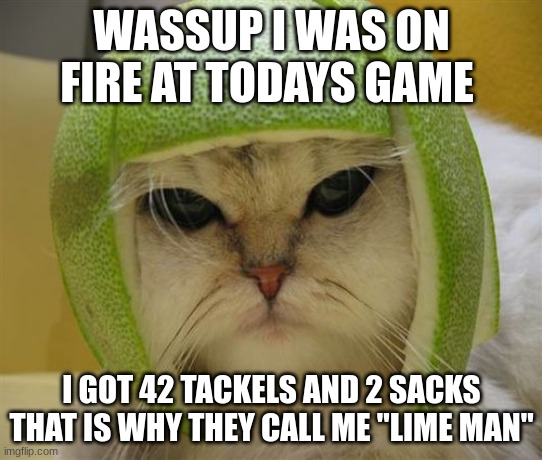 cat in lime football helmet | WASSUP I WAS ON FIRE AT TODAYS GAME; I GOT 42 TACKELS AND 2 SACKS THAT IS WHY THEY CALL ME "LIME MAN" | image tagged in cat in lime football helmet | made w/ Imgflip meme maker