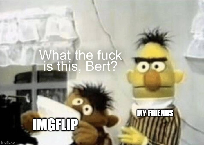 what the fuck is this, bert | MY FRIENDS IMGFLIP | image tagged in what the fuck is this bert | made w/ Imgflip meme maker