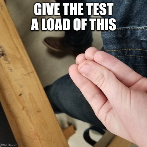 Power of italians | GIVE THE TEST A LOAD OF THIS | image tagged in power of italians | made w/ Imgflip meme maker