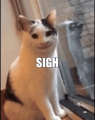 High Quality Disappointed Cat Blank Meme Template