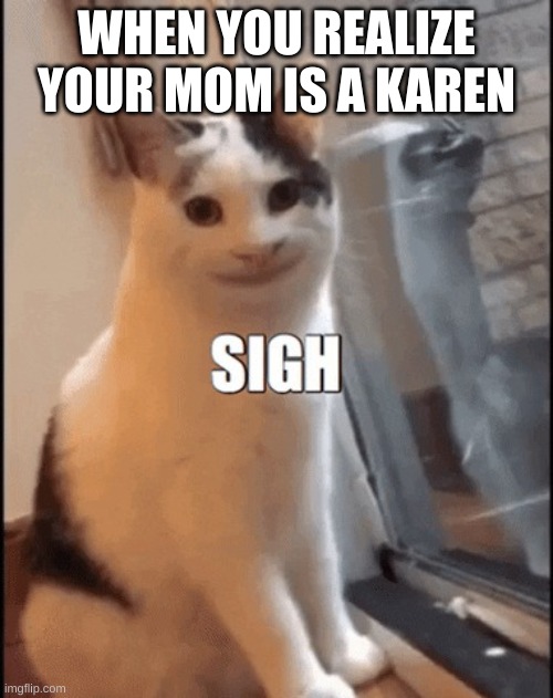 Disappointed Cat | WHEN YOU REALIZE YOUR MOM IS A KAREN | image tagged in disappointed cat | made w/ Imgflip meme maker