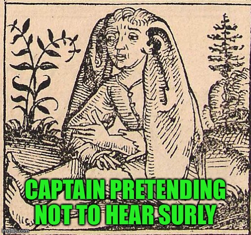 CAPTAIN PRETENDING NOT TO HEAR SURLY | made w/ Imgflip meme maker