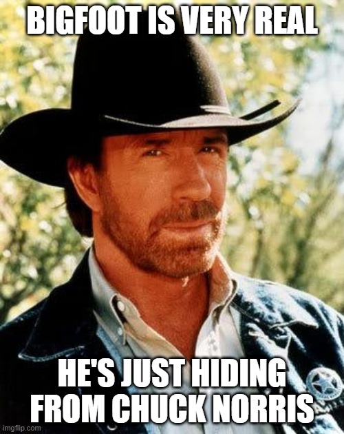 Not a Hoax | BIGFOOT IS VERY REAL; HE'S JUST HIDING FROM CHUCK NORRIS | image tagged in memes,chuck norris | made w/ Imgflip meme maker