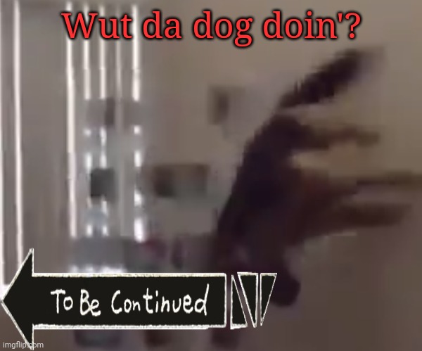 To be continued... | Wut da dog doin'? | image tagged in what the dog doin | made w/ Imgflip meme maker