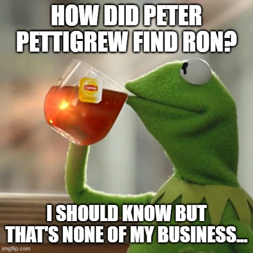 I have no idea |  HOW DID PETER PETTIGREW FIND RON? I SHOULD KNOW BUT THAT'S NONE OF MY BUSINESS... | image tagged in memes,but that's none of my business,kermit the frog | made w/ Imgflip meme maker