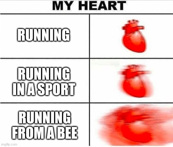 spooky | RUNNING; RUNNING IN A SPORT; RUNNING FROM A BEE | image tagged in heartbeat | made w/ Imgflip meme maker