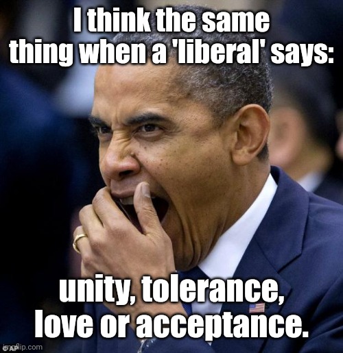 Hussein is getting bored... | I think the same thing when a 'liberal' says: unity, tolerance, love or acceptance. | image tagged in hussein is getting bored | made w/ Imgflip meme maker