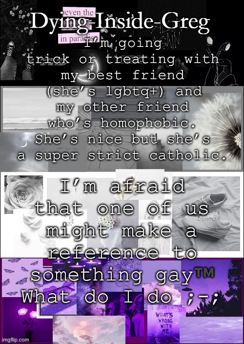 Gay™️ | I’m going trick or treating with my best friend (she’s lgbtq+) and my other friend who’s homophobic. She’s nice but she’s a super strict catholic. I’m afraid that one of us might make a reference to something gay™️ What do I do ;-; | image tagged in my template | made w/ Imgflip meme maker