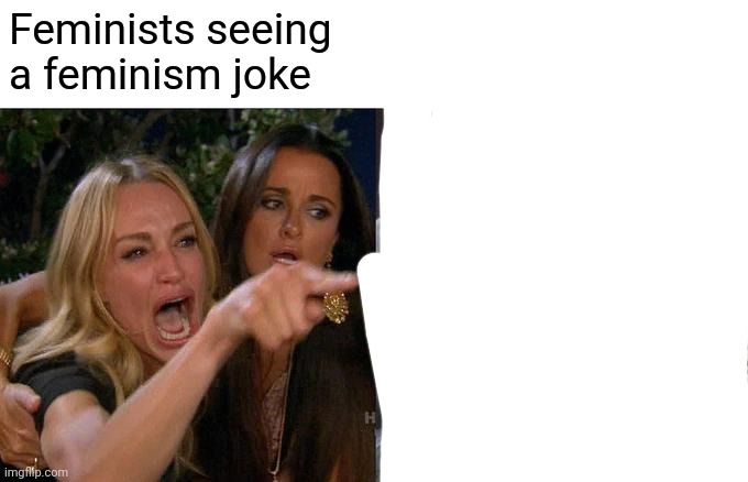 Woman Yelling At Cat Meme | Feminists seeing a feminism joke | image tagged in memes,woman yelling at cat | made w/ Imgflip meme maker