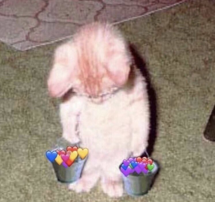 High Quality Sad cat holding buckets of love Blank Meme Template