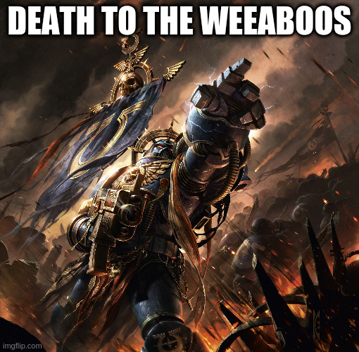 Space Marine | DEATH TO THE WEEABOOS | image tagged in space marine | made w/ Imgflip meme maker
