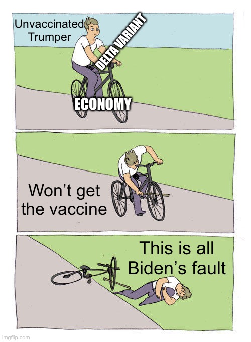 Bike Fall Meme | Unvaccinated Trumper; DELTA VARIANT; ECONOMY; Won’t get the vaccine; This is all Biden’s fault | image tagged in memes,bike fall | made w/ Imgflip meme maker