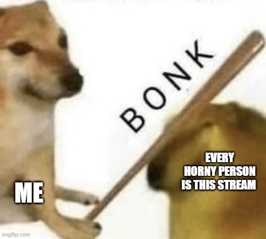 Bonk | EVERY HORNY PERSON IS THIS STREAM; ME | image tagged in bonk | made w/ Imgflip meme maker