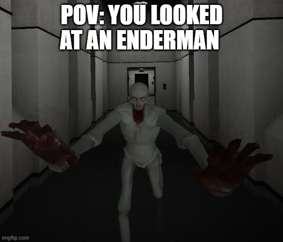 SCP 096 | POV: YOU LOOKED AT AN ENDERMAN | image tagged in scp 096 | made w/ Imgflip meme maker