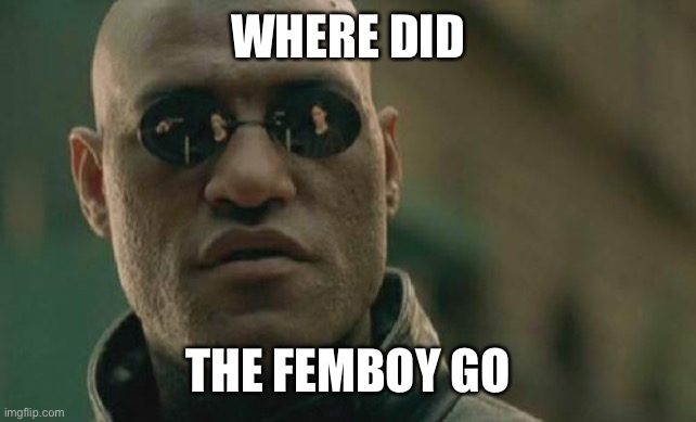 Matrix Morpheus Meme | WHERE DID; THE FEMBOY GO | image tagged in memes,matrix morpheus | made w/ Imgflip meme maker