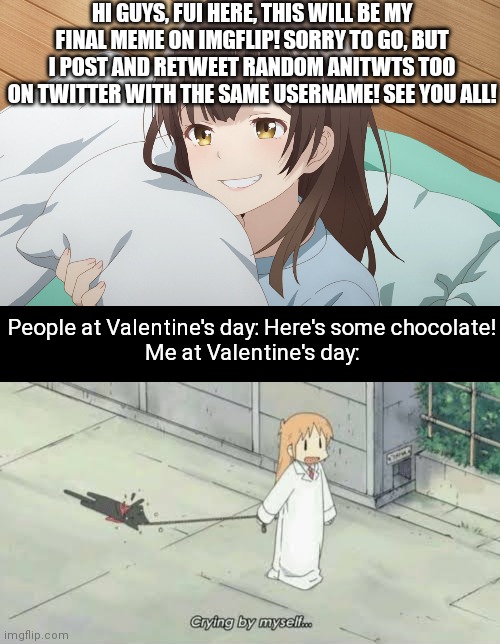 Korewafui for the twitter! | HI GUYS, FUI HERE, THIS WILL BE MY FINAL MEME ON IMGFLIP! SORRY TO GO, BUT I POST AND RETWEET RANDOM ANITWTS TOO ON TWITTER WITH THE SAME USERNAME! SEE YOU ALL! People at Valentine's day: Here's some chocolate!
Me at Valentine's day: | image tagged in bye | made w/ Imgflip meme maker