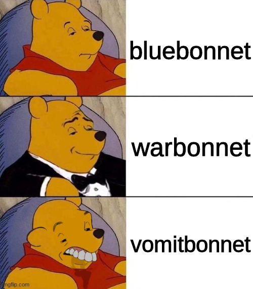 the bonnets | bluebonnet; warbonnet; vomitbonnet | image tagged in best better blurst,trains | made w/ Imgflip meme maker