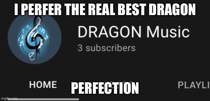 Go sub to me on youtube! | I PERFER THE REAL BEST DRAGON; PERFECTION | image tagged in youtube,youtuber | made w/ Imgflip meme maker