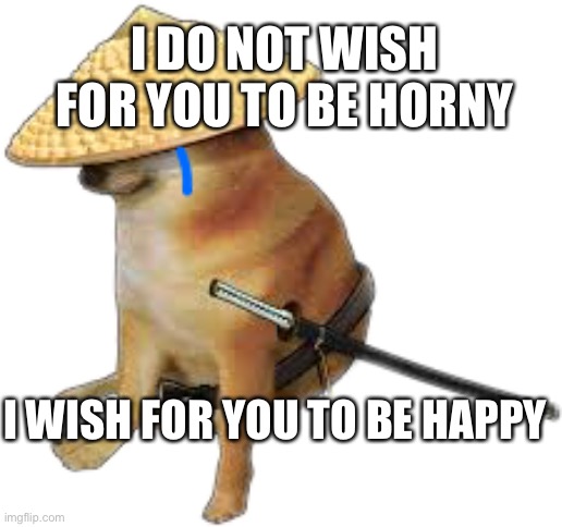 No horny | I DO NOT WISH FOR YOU TO BE HORNY; I WISH FOR YOU TO BE HAPPY | image tagged in silence wench | made w/ Imgflip meme maker