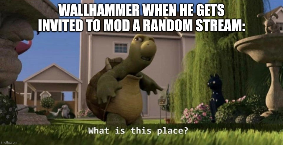 What is this place | WALLHAMMER WHEN HE GETS INVITED TO MOD A RANDOM STREAM: | image tagged in what is this place | made w/ Imgflip meme maker
