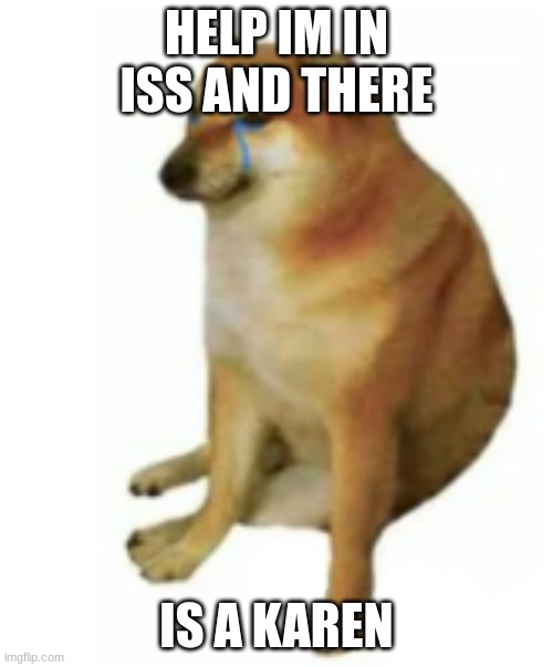 HELP IM IN ISS AND THERE; IS A KAREN | image tagged in help | made w/ Imgflip meme maker
