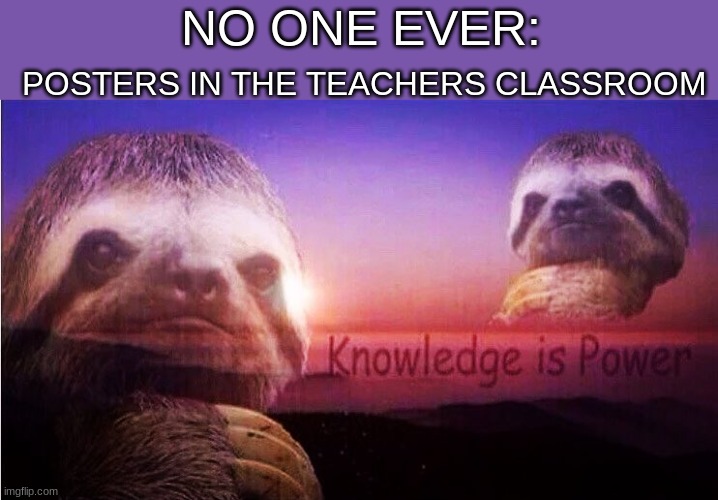 WhY Is tHIs sO trUE | POSTERS IN THE TEACHERS CLASSROOM; NO ONE EVER: | image tagged in sloth knowledge is power | made w/ Imgflip meme maker
