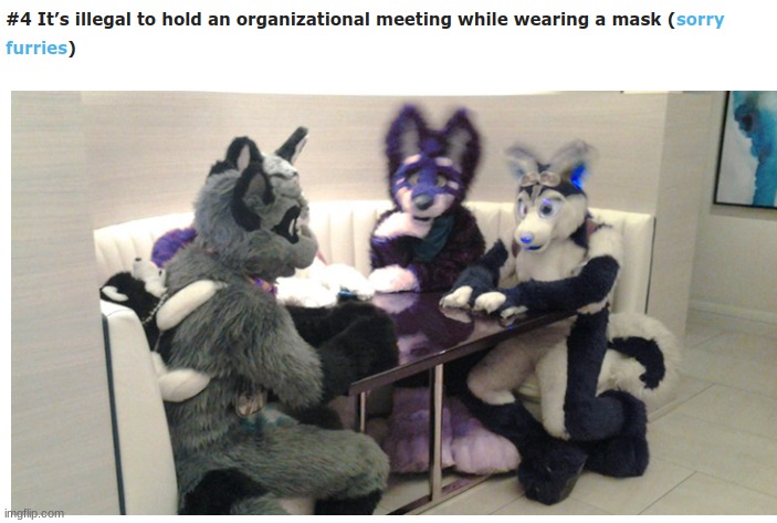 furries in my state smh | made w/ Imgflip meme maker