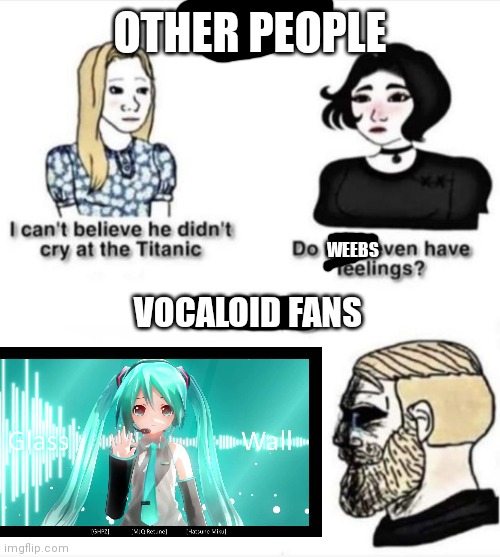 Do men even have feelings | OTHER PEOPLE; WEEBS; VOCALOID FANS | image tagged in do men even have feelings | made w/ Imgflip meme maker