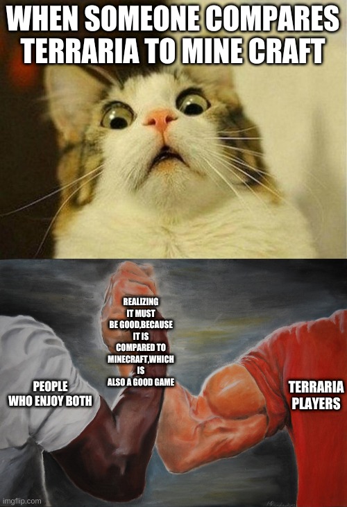 terraria v. minecraft | WHEN SOMEONE COMPARES TERRARIA TO MINE CRAFT; REALIZING IT MUST BE GOOD,BECAUSE IT IS COMPARED TO MINECRAFT,WHICH IS ALSO A GOOD GAME; TERRARIA PLAYERS; PEOPLE WHO ENJOY BOTH | image tagged in memes,scared cat,epic handshake | made w/ Imgflip meme maker