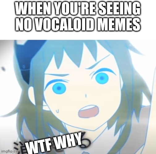 Surprised Gumi | WHEN YOU'RE SEEING NO VOCALOID MEMES; WTF WHY | image tagged in surprised gumi | made w/ Imgflip meme maker