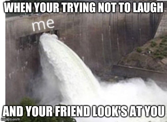 happens all the time | WHEN YOUR TRYING NOT TO LAUGH; AND YOUR FRIEND LOOK'S AT YOU | image tagged in am i the only one around here | made w/ Imgflip meme maker