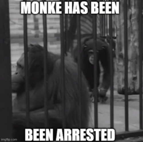 nooooooooooooo | made w/ Imgflip meme maker