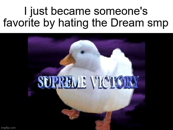 E | I just became someone's favorite by hating the Dream smp | image tagged in blank white template,supreme victory duck | made w/ Imgflip meme maker