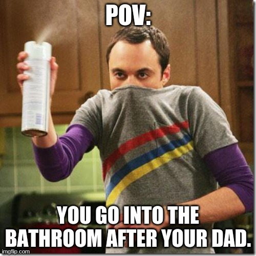air freshener sheldon cooper |  POV:; YOU GO INTO THE BATHROOM AFTER YOUR DAD. | image tagged in air freshener sheldon cooper | made w/ Imgflip meme maker