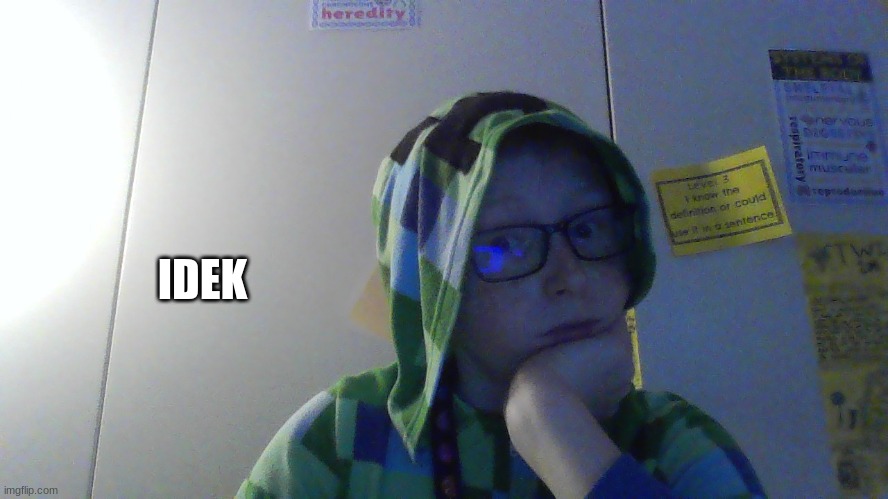 i don't know don't ask |  IDEK | image tagged in also it's pajama day | made w/ Imgflip meme maker