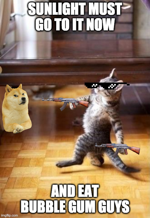 Cool Cat Stroll | SUNLIGHT MUST GO TO IT NOW; AND EAT BUBBLE GUM GUYS | image tagged in memes,cool cat stroll | made w/ Imgflip meme maker