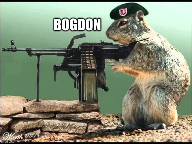 squirrel with gun (pap pap pap) |  BOGDON | image tagged in riseofbogdon | made w/ Imgflip meme maker