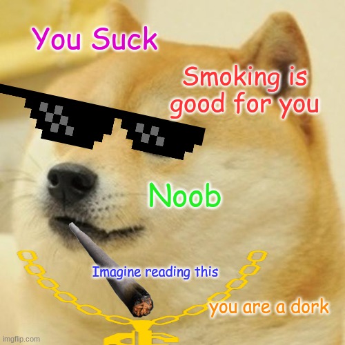 negitive doge | You Suck; Smoking is good for you; Noob; Imagine reading this; you are a dork | image tagged in memes,doge,smoking,mlg | made w/ Imgflip meme maker