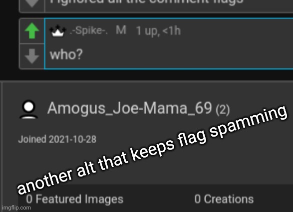 another alt that keeps flag spamming | made w/ Imgflip meme maker